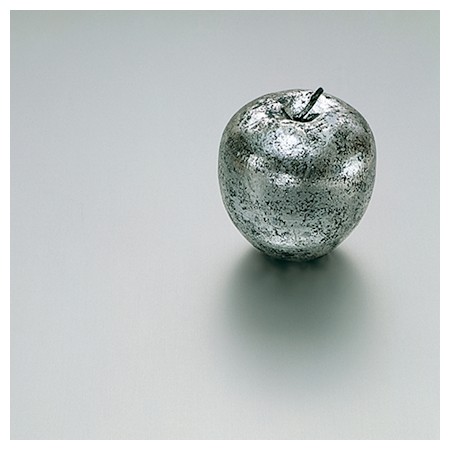 Image of Number 719 Special Order Gemini Satin-Silver metal laminate.